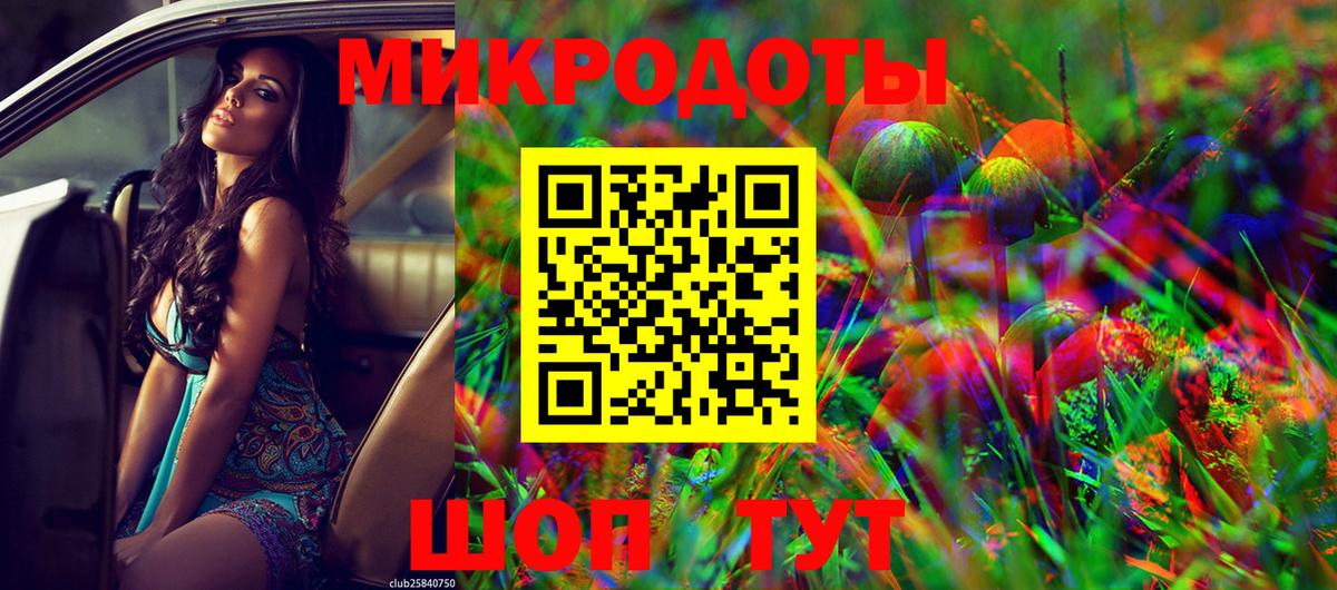 Псилоцибиновые грибы Psilocybine cubensis Озёры