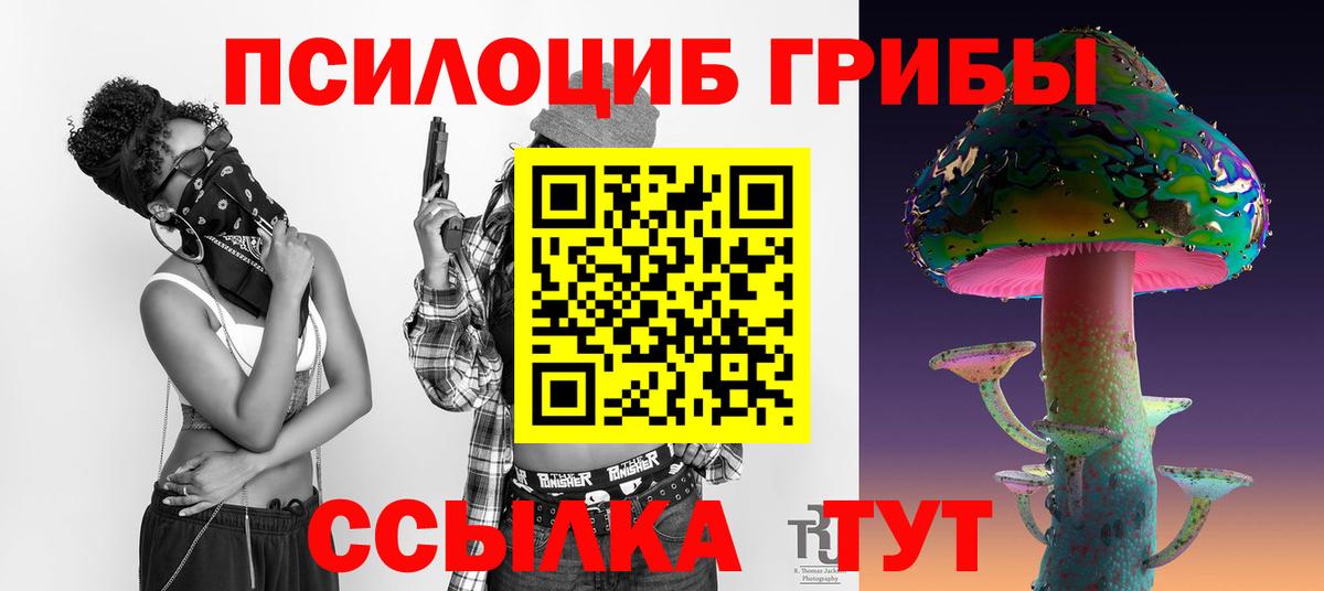 Псилоцибиновые грибы Psilocybe  купить закладку  Озёры  Вход с VPN 